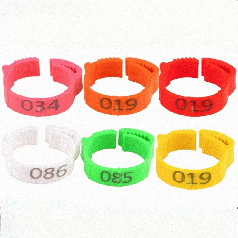 Photography Duck - 100pcs เท้าไก่แหวนป้ายหัวเข็มขัดพลาสติกปรับสัตว์ปีกขา Snap RATCHET คลิปดิจิตอลเป็ด Pigeon