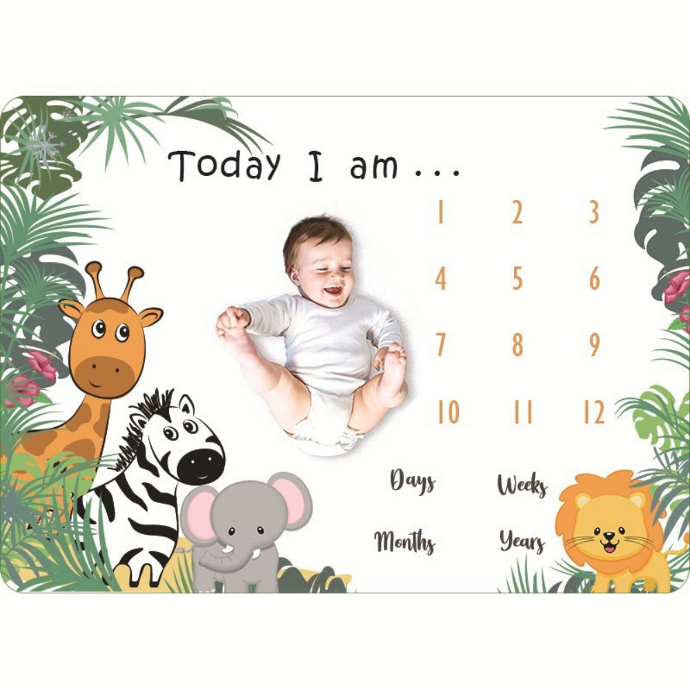 VIKAMA ผ้าห่มพิมพ์ลายภาพประกอบ - Photography Background บทวิจารณ์และราคา