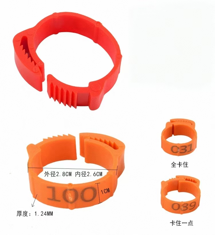 100pcs เท้าไก่แหวนป้ายหัวเข็มข - Photography Duck บทวิจารณ์และราคา