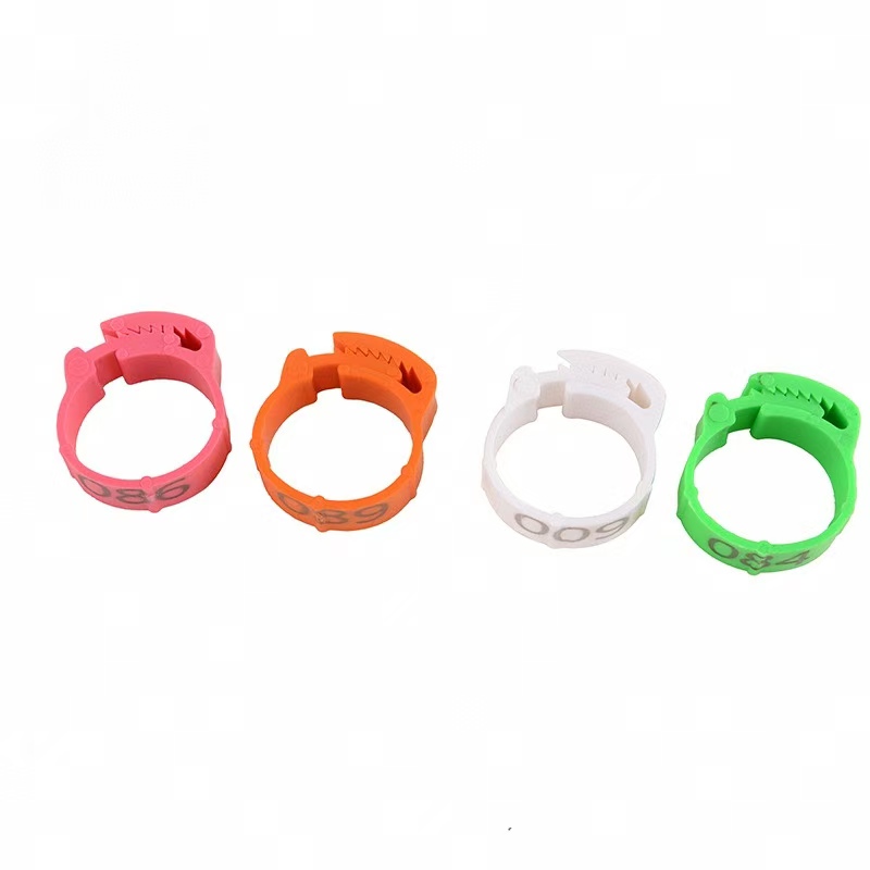 100pcs เท้าไก่แหวนป้ายหัวเข็มข - Photography Duck บทวิจารณ์และราคา