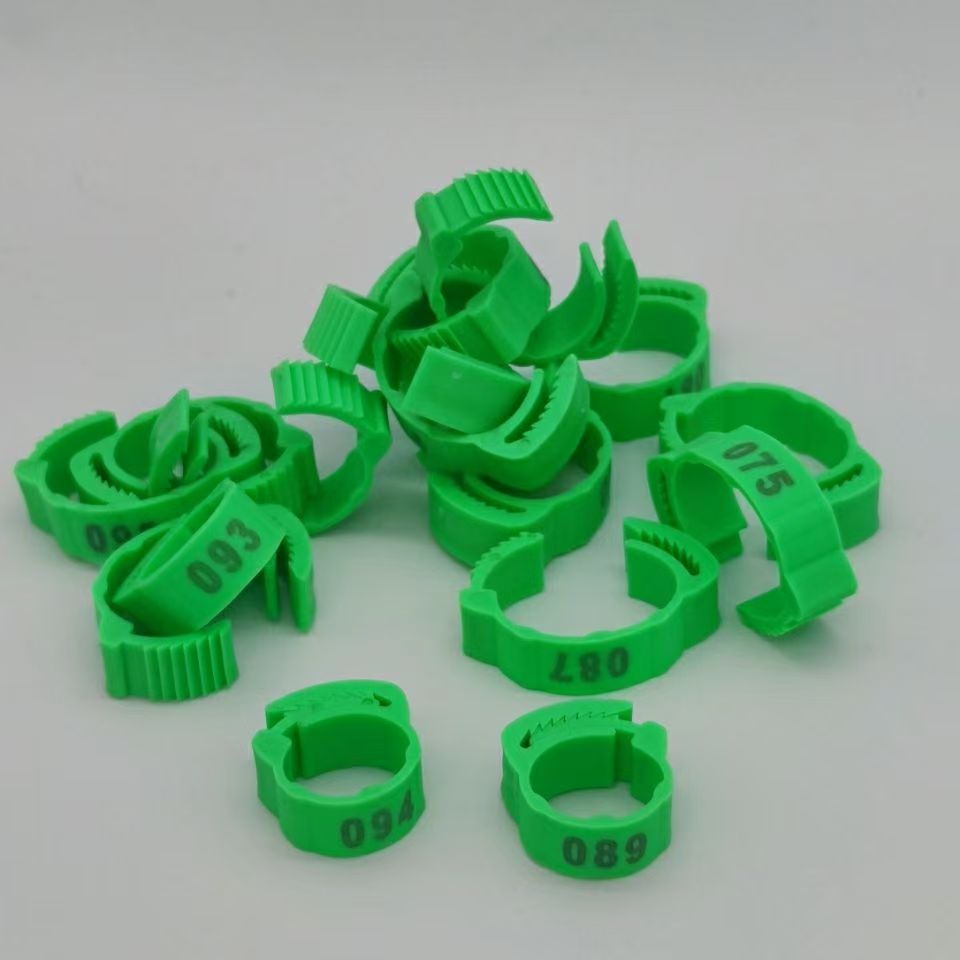 100pcs เท้าไก่แหวนป้ายหัวเข็มข - Photography Duck บทวิจารณ์และราคา